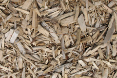 biomass boilers Thornicombe